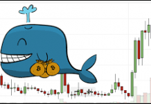 Jangan Mau Dipermainkan Cukong Bitcoin